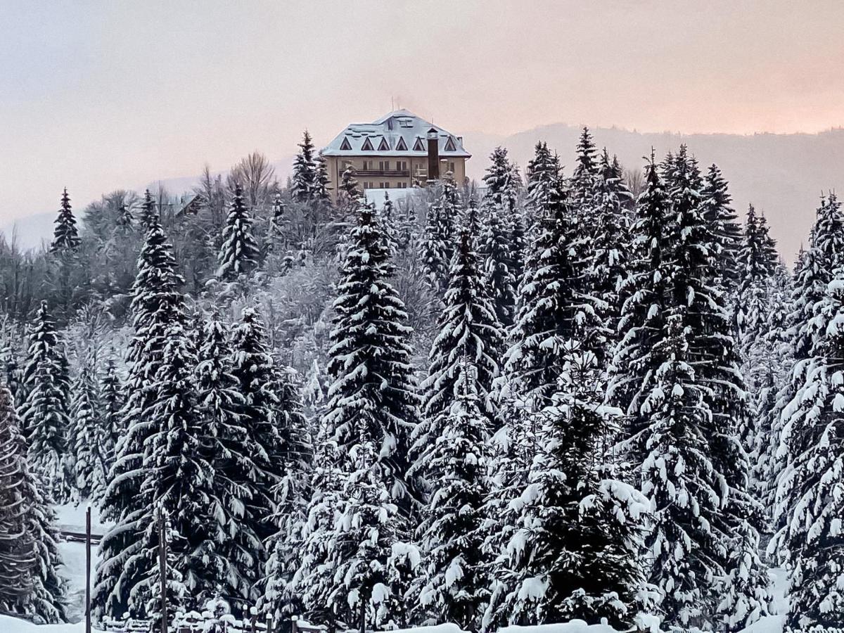 Hotel Kamyanka Mizhhirya  Zewnętrze zdjęcie