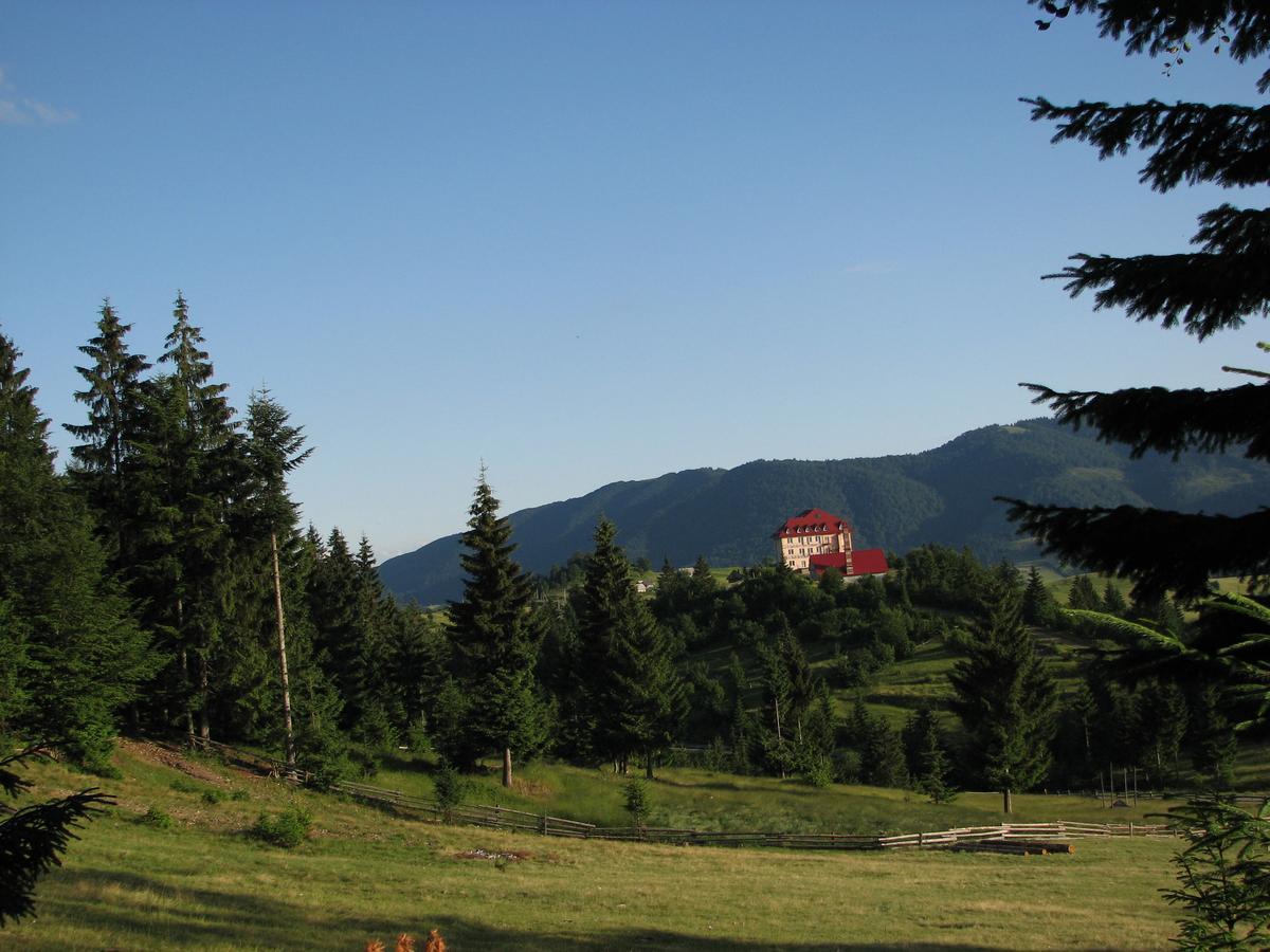 Hotel Kamyanka Mizhhirya  Zewnętrze zdjęcie